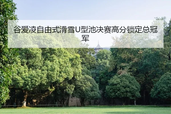 gu-ai-ling-zi-you-shi-hua-xue-xing-chi-jue-sai-gao-fen-suo-ding-zong-guan-jun-2-131.jpg