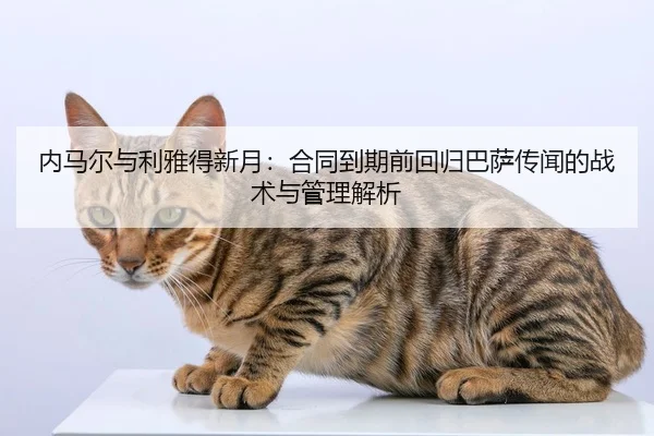 nei-ma-er-yu-li-ya-de-xin-yue-he-tong-dao-qi-qian-hui-gui-ba-sa-chuan-wen-de-zhan-shu-yu-guan-li-jie-xi-2-340.jpg