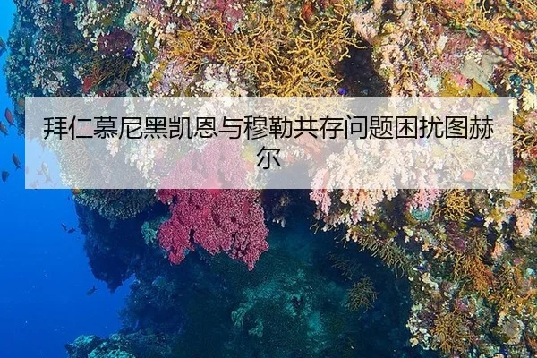 bai-ren-mu-ni-hei-kai-en-yu-mu-lei-gong-cun-wen-ti-kun-rao-tu-he-er-3-654.jpg
