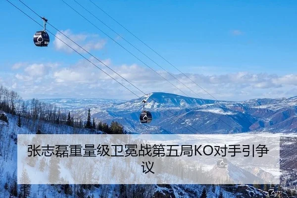 张志磊重量级卫冕战第五局KO对手引争议