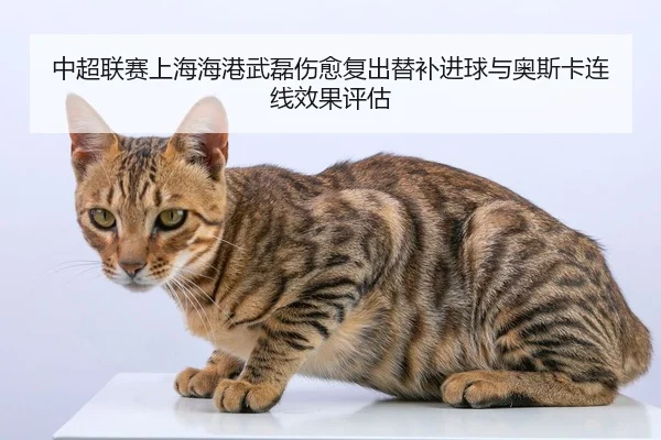 中超联赛上海海港武磊伤愈复出替补进球与奥斯卡连线效果评估